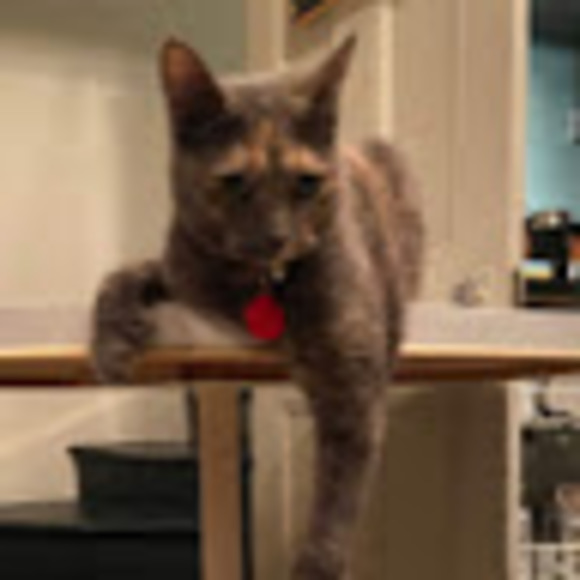 Meet your Posher, J - Picture 1 of 1